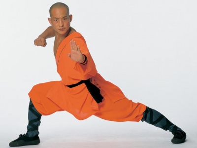 Many Chinese martial arts styles are based on