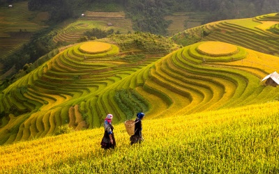 This farming method often used in China makes the hills look like steps: