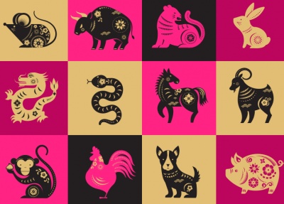 Which animal is NOT in the Chinese Zodiac?